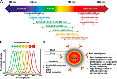 Surface decorated quantum dots: Synthesis, properties and role in herbal therapy